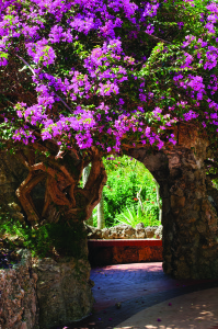 Alina Boisjoly-1372--gazebo at pinecrest gardens